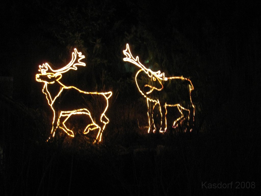 Toledo Zoo Lights 2008 021.jpg - The regular visit to the Toledo Ohio Zoo to see the Christmas Lights displays. New this trip were the "Dancing Lights", displays flashing in time with the Christmas Songs.